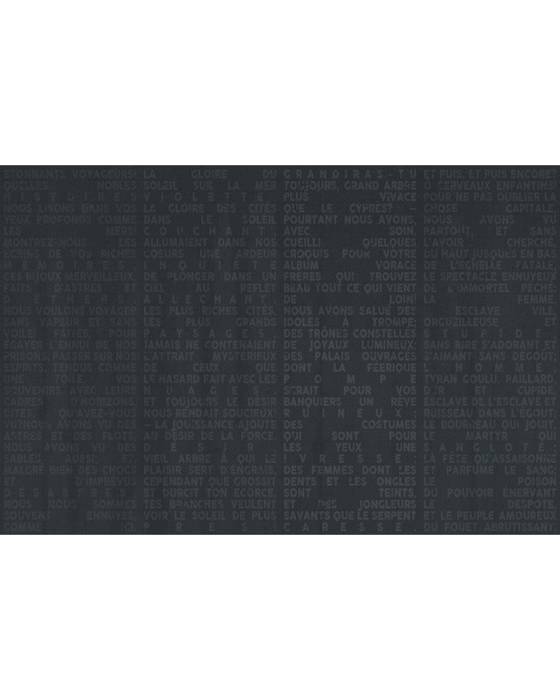 Papel Pintado VOYAGE WDVO1601-B - WALL AND DECO