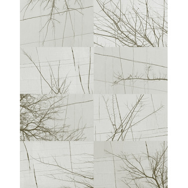 BOIS D'HIVER WDBH1702