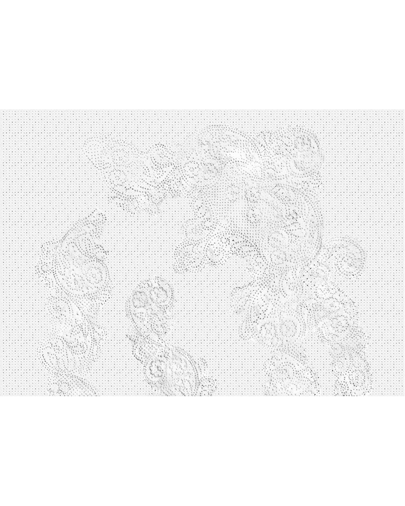 Papel Pintado SPOLVERO WDSP1701 - WALL AND DECO