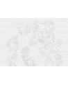 Papel Pintado SPOLVERO WDSP1701 - WALL AND DECO