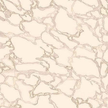 WP26880-001 MARBLE