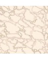 WP26880-001 MARBLE