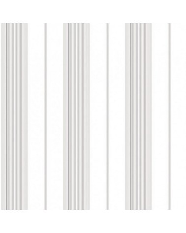 Smart Stripes 150-2015