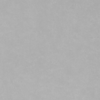 Papel Pintado BRETON 7000043 LIGHT GREY - COORDONNE