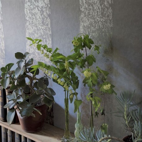 Papel Pintado P576-01 KALPANA - ALABASTER - Designers Guild