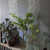 Papel Pintado P576-01 KALPANA - ALABASTER - Designers Guild