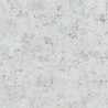 Papel Pintado PDG1025/06 LUSTRO ZINC - Designers Guild