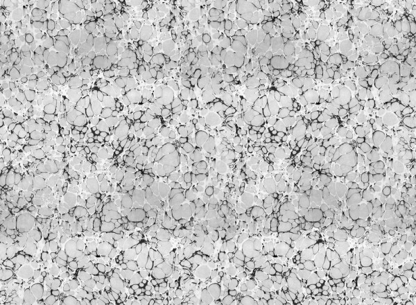 Papel Pintado SUMINAGASHI I 17010-01 - LONDON ART