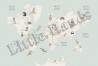 Animals World Map IV