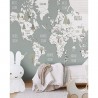 Animals World Map V