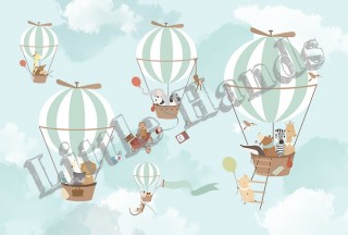 Balloon Ride V