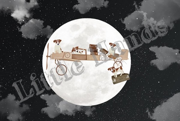 Papel Pintado Moonlight - LITTLE HANDS