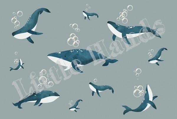 Papel Pintado Whales I - LITTLE HANDS