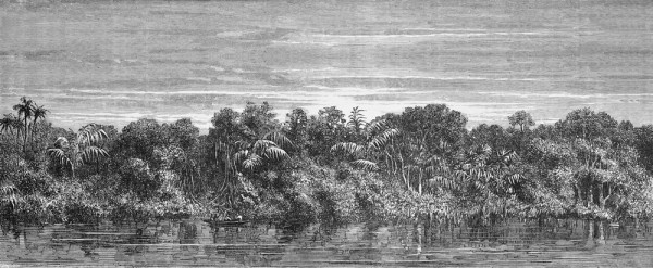 Papel Pintado JUNGLEI NKSINN1601 - INKIOSTRO BIANCO