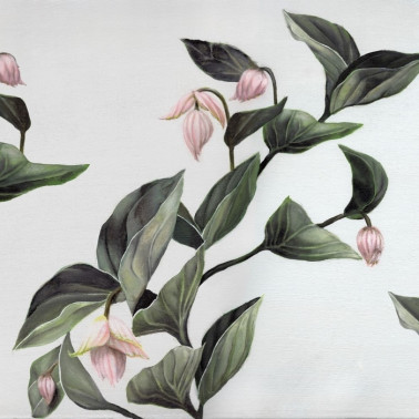 Papel Pintado MEDINILLA INKZHYE1601 - INKIOSTRO BIANCO