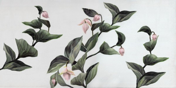 Papel Pintado MEDINILLA INKZHYE1601 - INKIOSTRO BIANCO