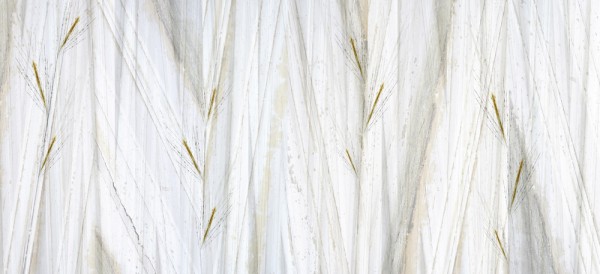 Papel Pintado MESSI INKUIIF1601 - INKIOSTRO BIANCO