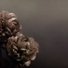 PEONIA INKDETE1602_A