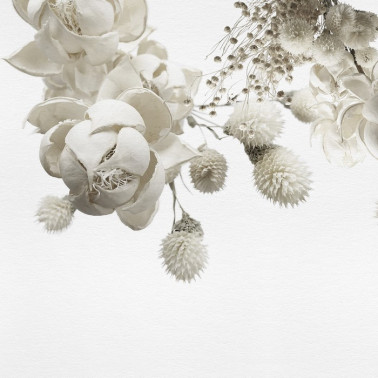 Papel Pintado WINTER INKZPUO1801 - INKIOSTRO BIANCO