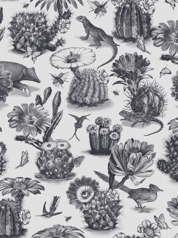 Papel Pintado Priscilla Black White DVS006 - DIVINE SAVAGES