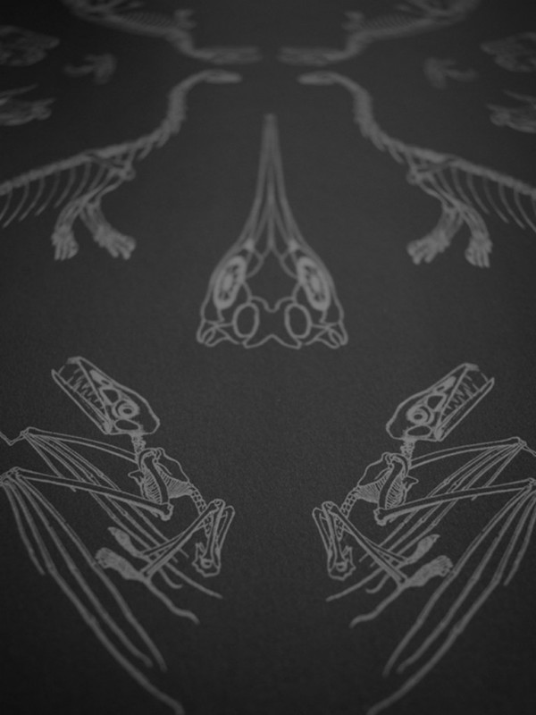 Papel Pintado Prehistoria DVS008   - DIVINE SAVAGES
