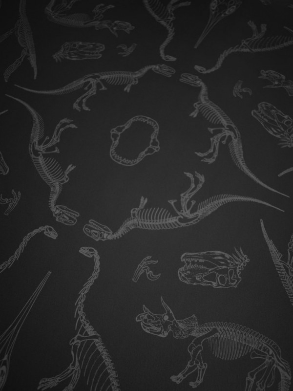 Papel Pintado Prehistoria DVS008   - DIVINE SAVAGES