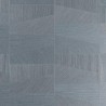 26566 TRAPEZIUM