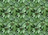 Papel Pintado BANANA LEAF MURAL - ANEWALL