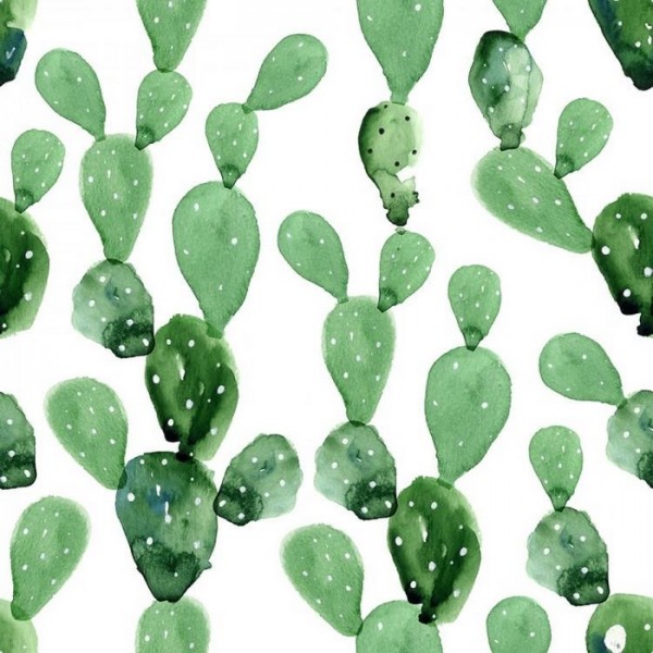 Papel Pintado CACTUS MURAL - ANEWALL
