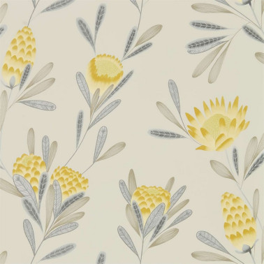 Papel Pintado HZAP111774 CAYO - Harlequin