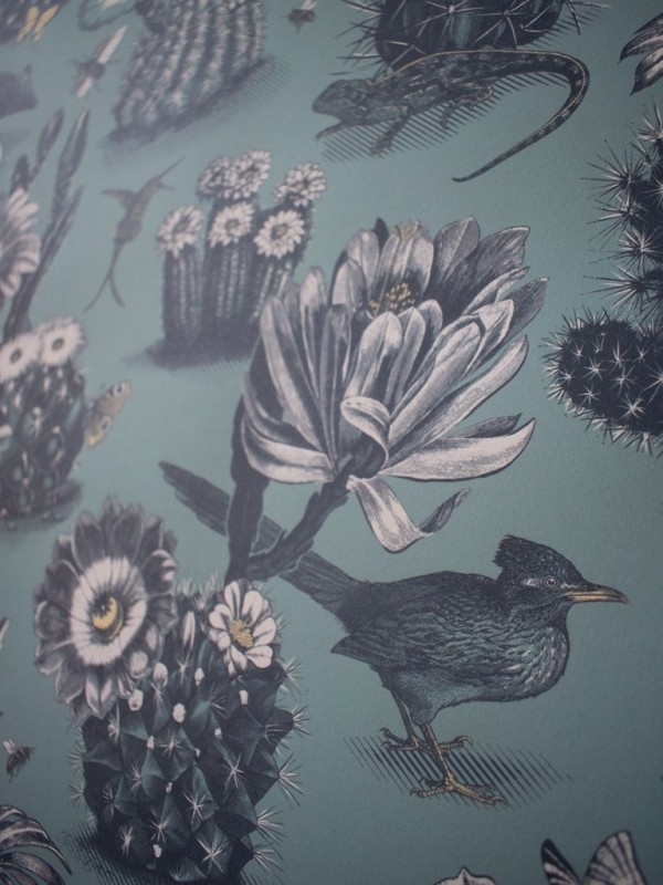 Papel Pintado Priscilla Desert Blue DVS007 - DIVINE SAVAGES