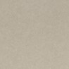 SCOL 28651320