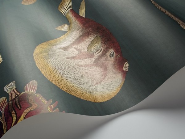 Papel Pintado Acquario 114-12024 - COLE and SON
