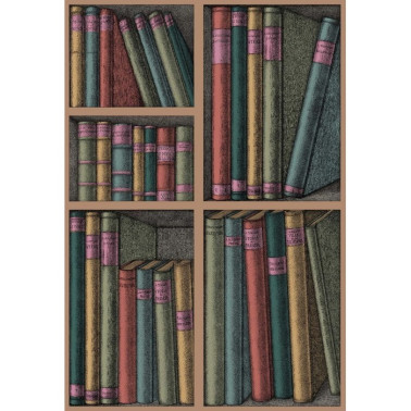 Papel Pintado Ex Libris 114-5010 - COLE and SON