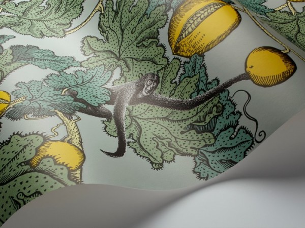 Papel Pintado Frutto Proibito 114-1002 - COLE and SON