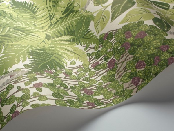 Papel Pintado Fern 115-7021 - COLE and SON