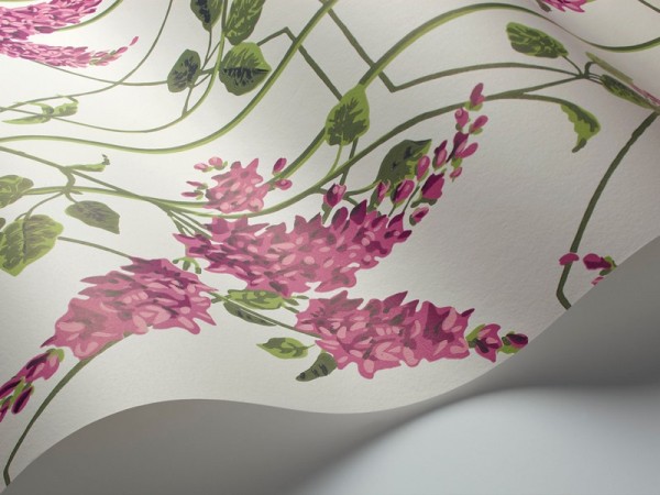 Papel Pintado Wisteria 115-5013 - COLE and SON