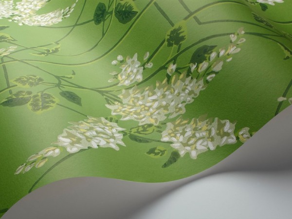 Papel Pintado Wisteria 115-5016 - COLE and SON
