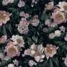 Papel Pintado NEW DAWN ROSE 7234 - BORAS TAPETER