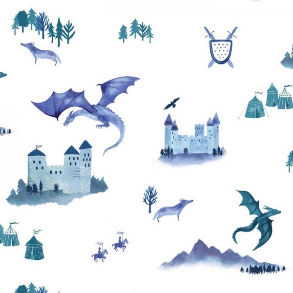 Castles and Dragons HH01401
