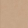 61972 JAPAN BLUSH