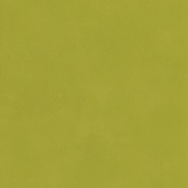 Papel Pintado 61986 JAPAN CITRUS - Andrew Martin