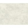 BW40705 MARBLE TEXTURE