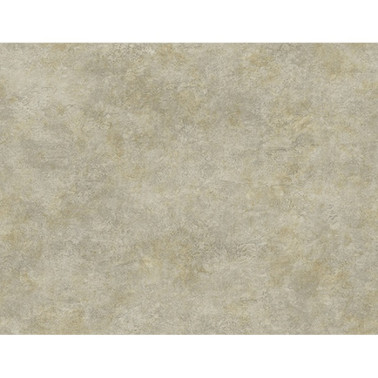 Papel Pintado BW40708 MARBLE TEXTURE - WALLQUEST