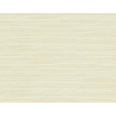 Papel Pintado BW40904 GRASSCLOTH TEXTURE - WALLQUEST