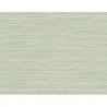 BW40914 GRASSCLOTH TEXTURE