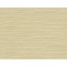 BW40915 GRASSCLOTH TEXTURE