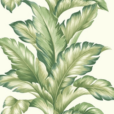 Papel Pintado TP81204 BIG LEAF - WALLQUEST