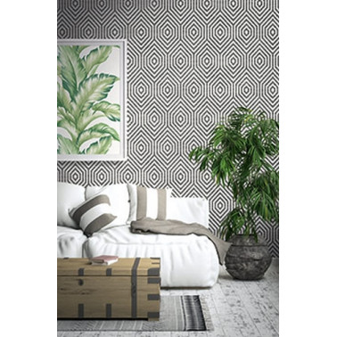 TP80505 HEXAGON GEOMETRIC