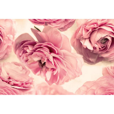 Papel Pintado R13091 SUMMER WIND - REBEL WALLS